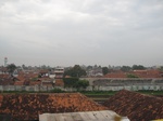 14431IMG_4782.JPG