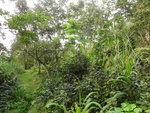 46644DSC01977.JPG
