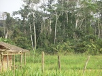 48101CIMG4438.JPG