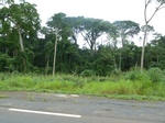 25955P1020374.JPG