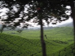 15034IMG_3847.JPG