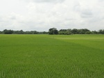 22014DSC00127.JPG