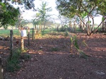 32024IMG_5696.JPG