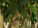 50561CIMG1190.JPG
