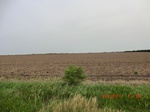 29610CIMG0878.JPG