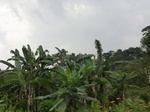 49850CIMG6187.JPG