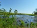21654P1010480.JPG