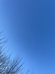 2023-03-27_08-55-33_2023-3-26-19-2-37.jpg
