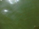 58421CIMG2870.JPG