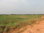 26740DSC00948.JPG