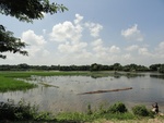 24623DSC00842.JPG