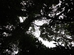 46767DSC02104.JPG