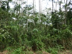 46581CIMG0870.JPG