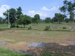 33441RIMG0181.JPG