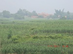 32656CIMG1775.JPG