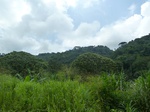 20574P1020431.JPG