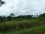 20283P1020139.JPG