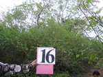 1173416-shrubland-significant-neem-forest-iucna.jpg