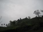 15028IMG_3841.JPG