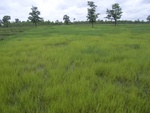 33393RIMG0133.JPG