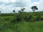 19630P1010477.JPG