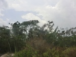 49928CIMG6265.JPG
