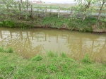 51622CIMG0339.JPG