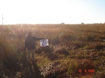 10609gt-029-wetland-seosonal-valley-bottom-01.jpg