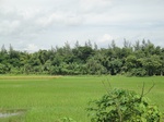 21366DSC00638.JPG
