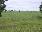 21403RIMG0133.JPG