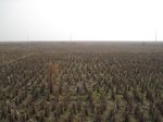 8438IMG_0263.JPG