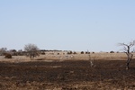 43296Site_C_looking_From_Site_B_a.jpg