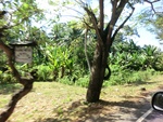 30156CIMG1690.JPG