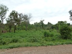 18398P1000234.JPG
