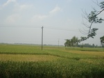 21852DSC08439.JPG