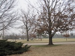 9772IMG_0049.JPG