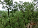 53399CIMG6710.JPG