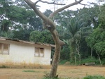 48556CIMG4893.JPG