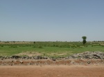 19172P1010018.JPG