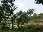 53417CIMG6737.JPG