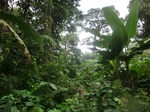 45607CIMG2692.JPG