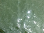 58328CIMG2777.JPG