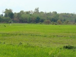 9219DSC03562.JPG