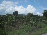 26731IMG_4106.JPG