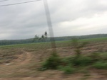 31373CIMG1235.JPG