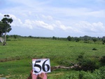 1053156-cropland-irrigated-rice-b.gif