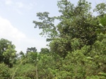 49734CIMG6071.JPG