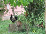 32093IMG_5591.JPG