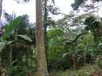 46157CIMG0446.JPG