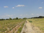 35213DSC02418.JPG